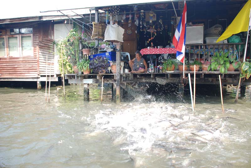 Бангкок. Речка. Bangkok. River. Бангкок. Речка. Bangkok. River.