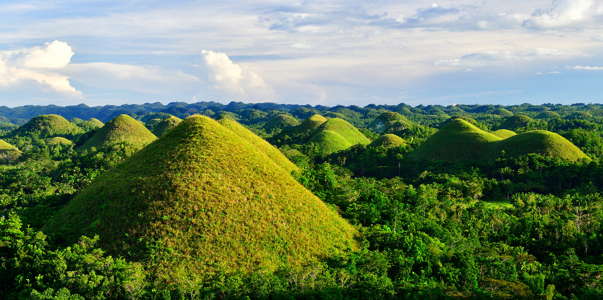 Шоколадные Холмы. Боход. Филиппины. Chocolate Hills. Bohol. Philippines.