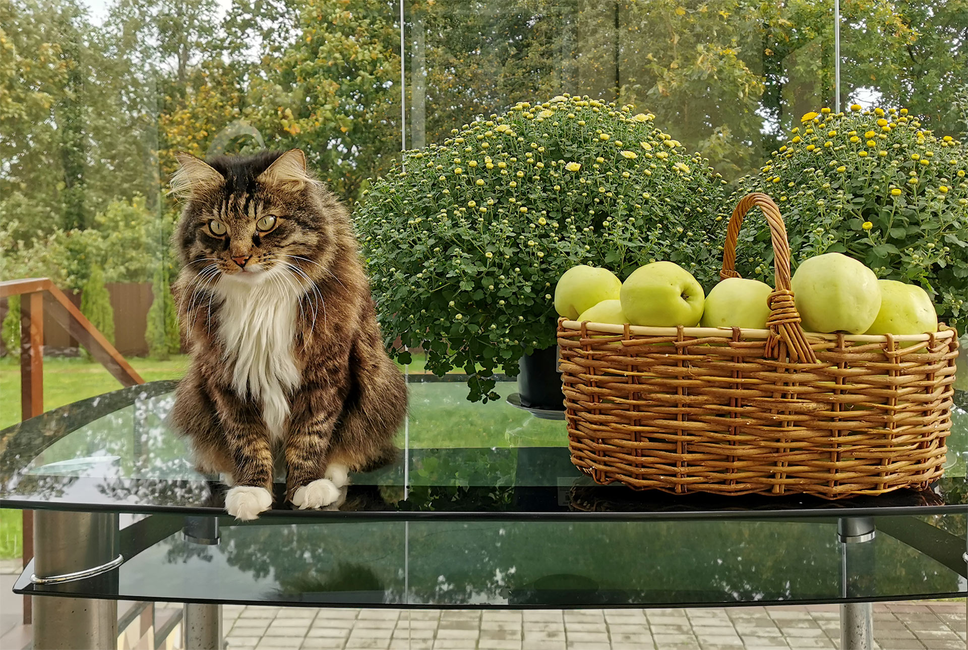 Будкин, с днём рождения!