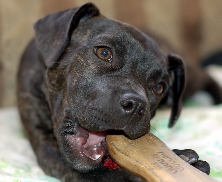 Зубы чешутся...