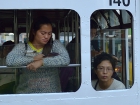 Трамвайный портрет. Гонконг. Tram
